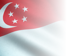 Singapore Flag